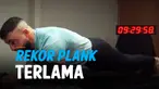 vertical plank