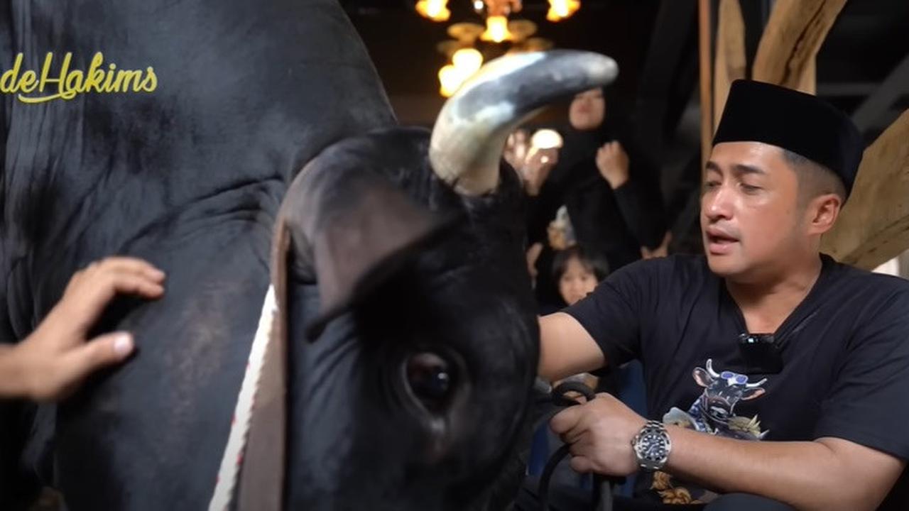 6 Sapi Kurban Irfan Hakim, Selain Janoko Siapa yang Bikin Kamu Nangis Brutal?