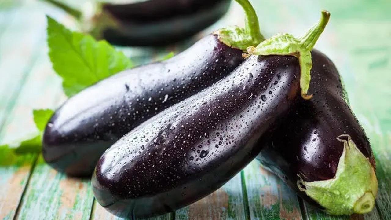 10 Sayur Tropis Cantik yang Bisa Jadi Tanaman Hias, Solusi Segar dan Estetik di Rumah