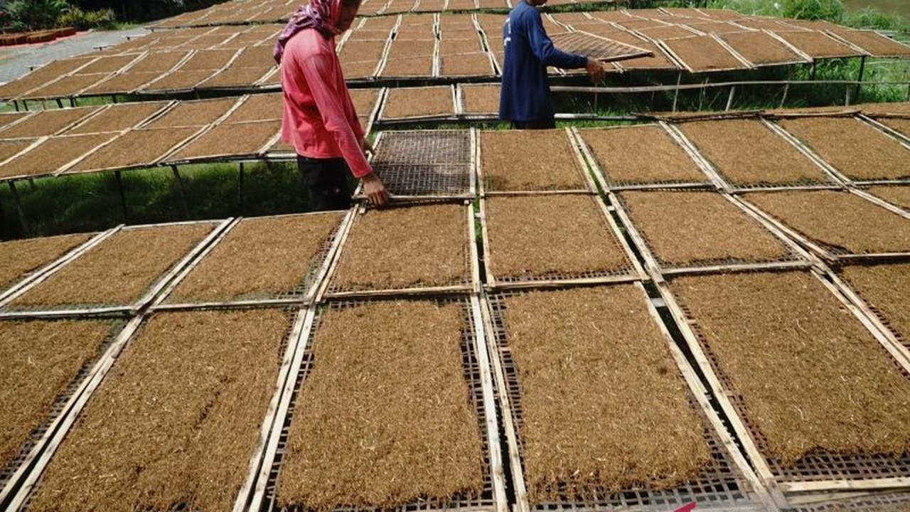 UNS Ingatkan Pentingnya Keseimbangan dalam Perlindungan Industri Tembakau