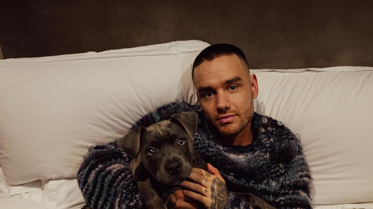 One Direction Berkumpul di Pemakaman Liam Payne, Tapi Sosok Ini Dilarang Datang