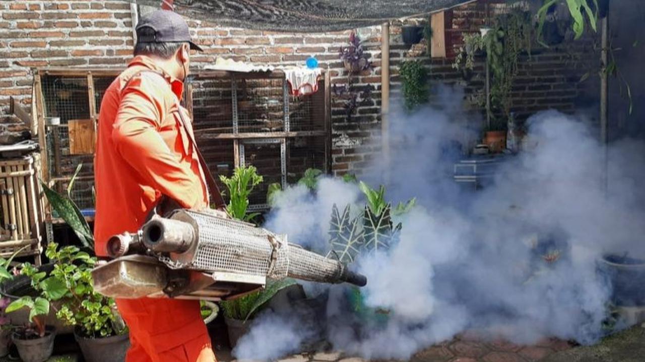 Imbauan Setda Tulungagung: Gerakan PSN Cegah Demam Berdarah