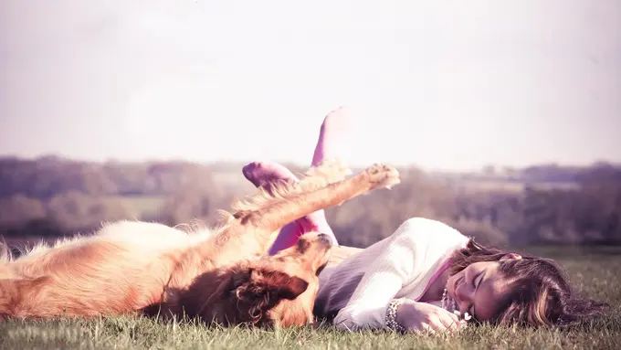 10 Alasan Kenapa Memelihara Anjing Membuat Hidupmu Lebih Sehat