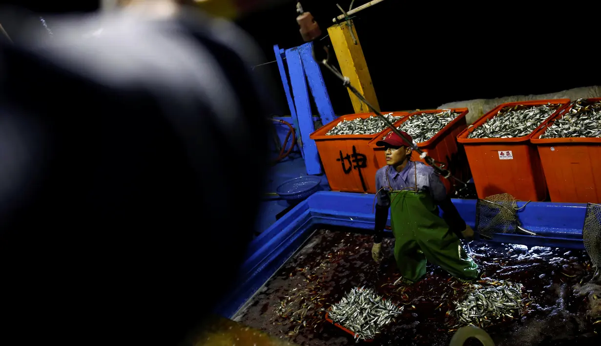 Hasil tangkapan nelayan menggunakan metode api sebagai umpan di perairan New Taipei City, Taiwan, (19/6). Metode tradisional ini hanya digunakan segelintir nelayan dan tersisa tiga kapal saja setiap malam. (REUTERS/Tyrone Siu)