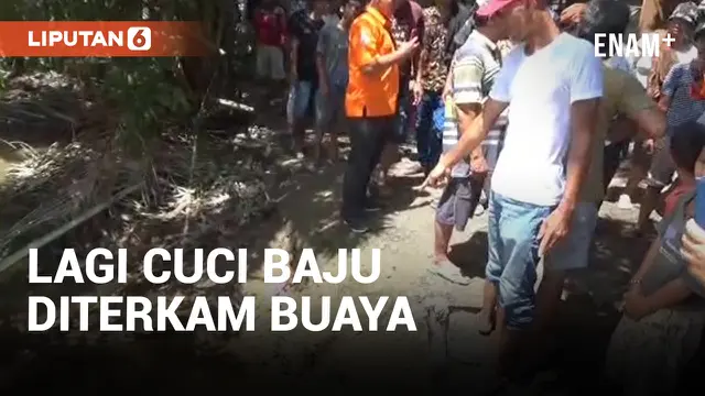 Ibu Hamil Diterkam Buaya saat Cuci Baju di Aliran Sungai