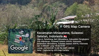 Lukisan Cadas Tertua Dunia di Maros Terancam Akibat Kebakaran Hutan