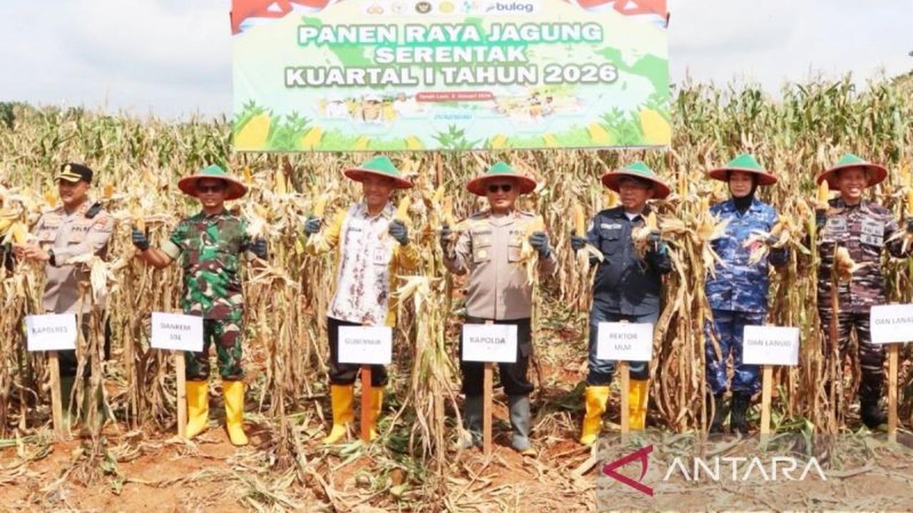 Polda Kalsel Panen Jagung 177 Ton di Kuartal I 2026, Perkuat Ketahanan Pangan Nasional