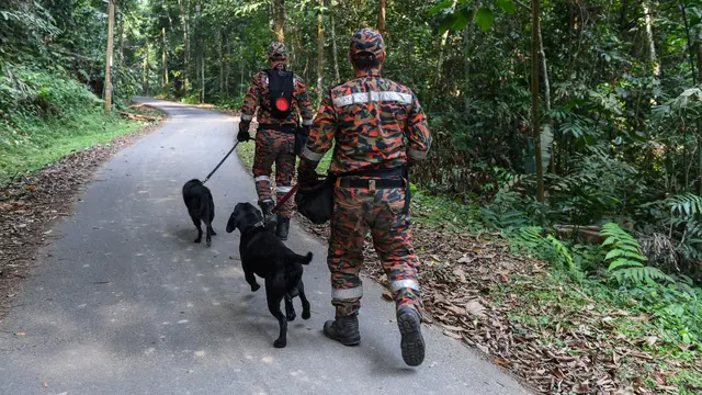 Mencari Gadis Disabilitas Irlandia yang Hilang di Hutan Malaysia