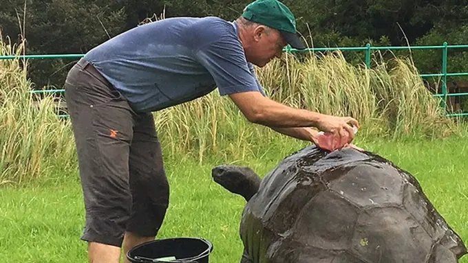 Photo: Copyright asiantown.net