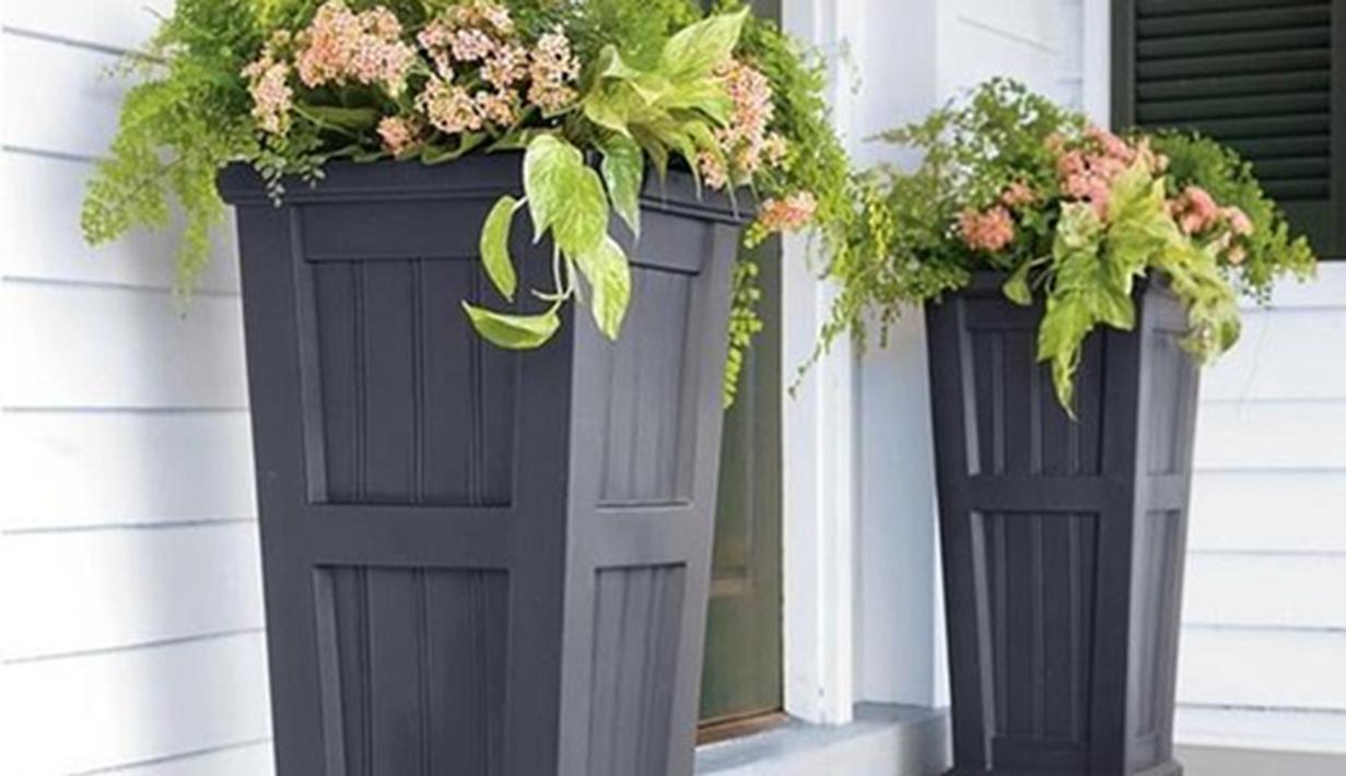  Inspirasi  Menata dan Mempercantik Pot  Bunga  di Rumah 