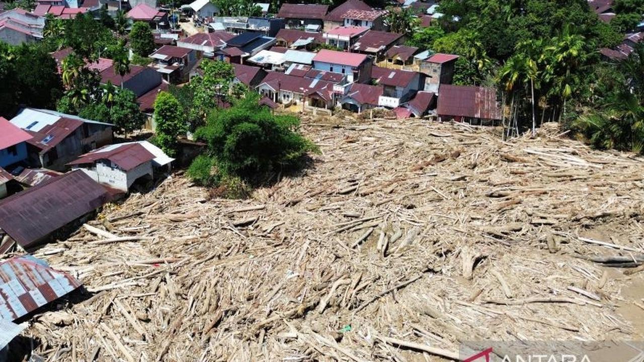 Kementerian Kehutanan Identifikasi 49.197 Hektare Potensi Rehabilitasi Pascabencana Sumatera