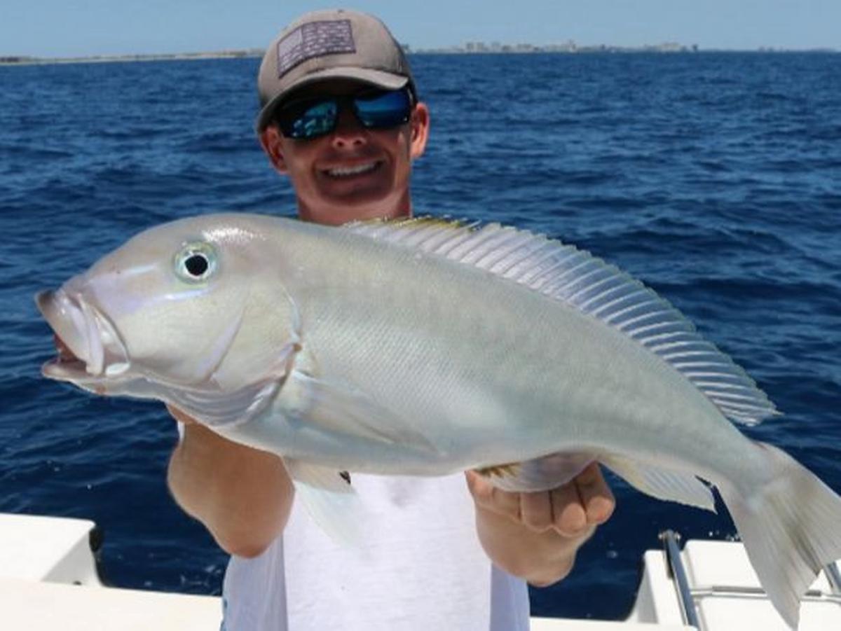 1. Ikan Tilefish
