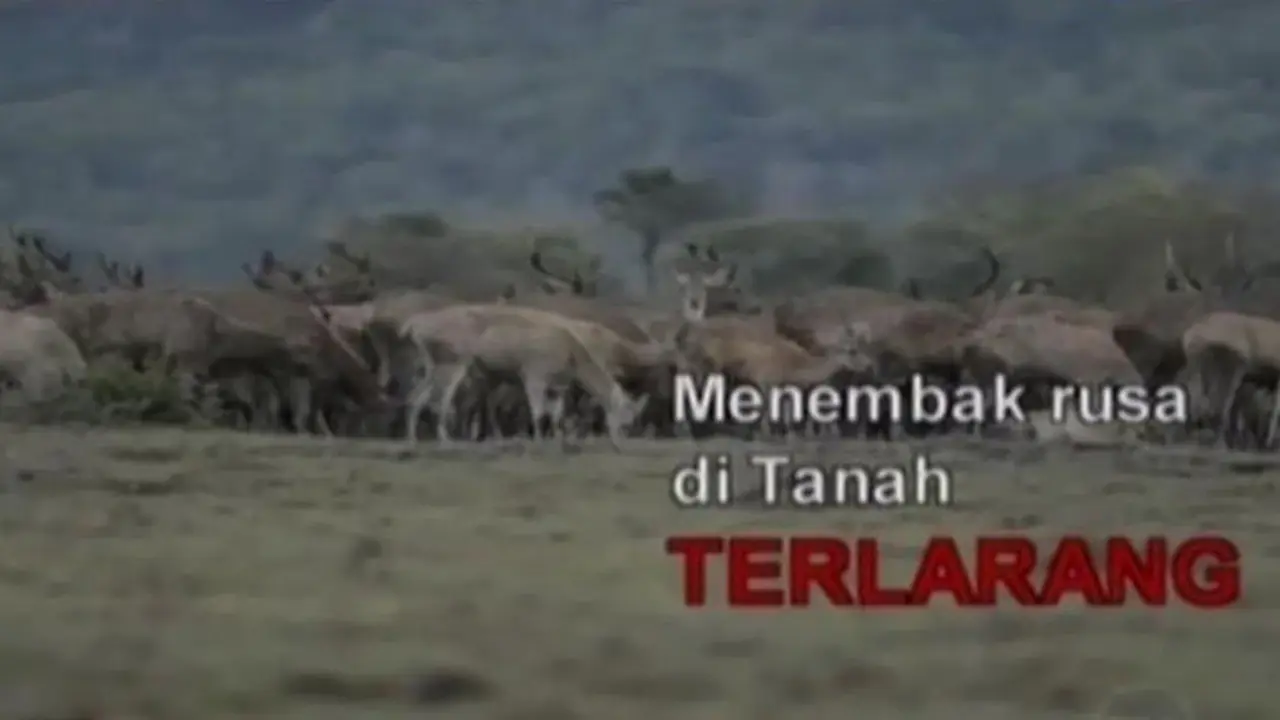 Sigi Investigasi: Menembak Rusa di Tanah Terlarang