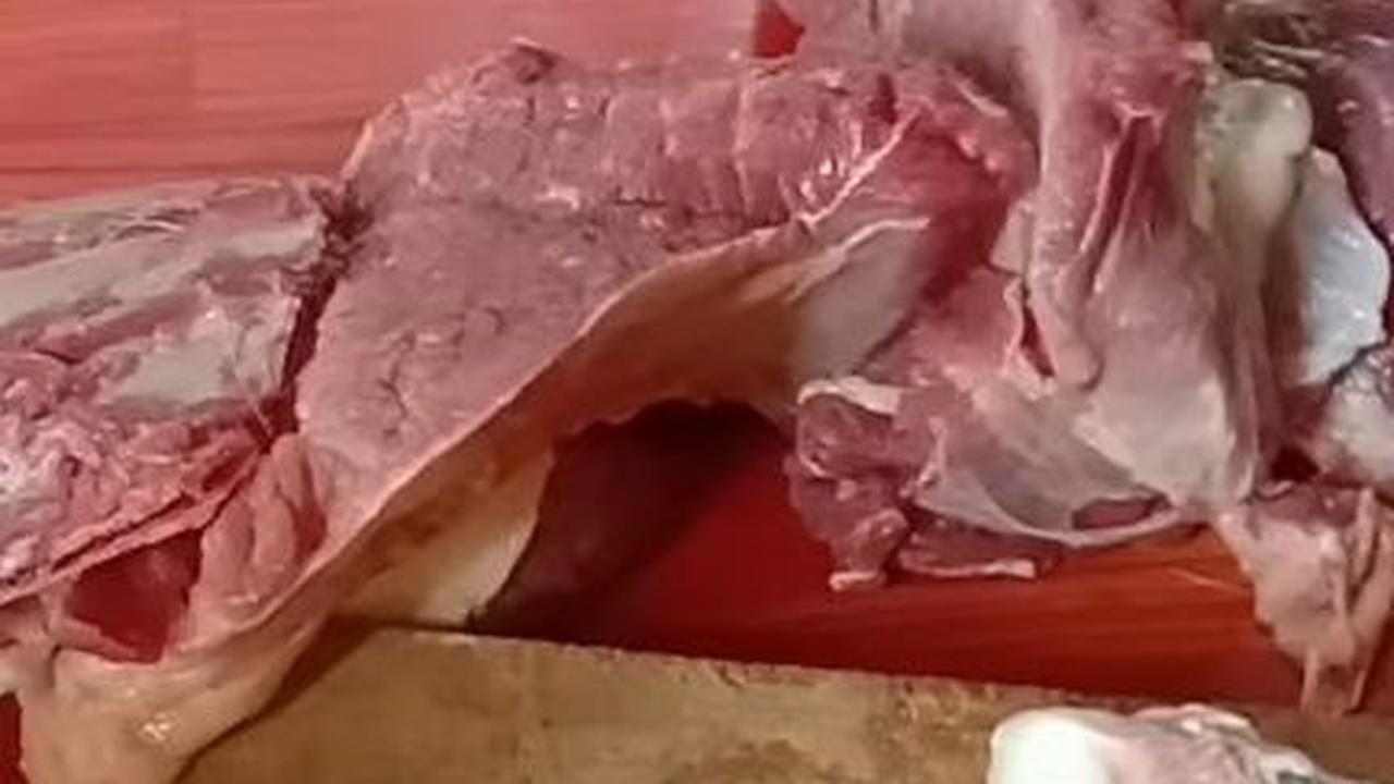 Pisahkan Lemak Kambing