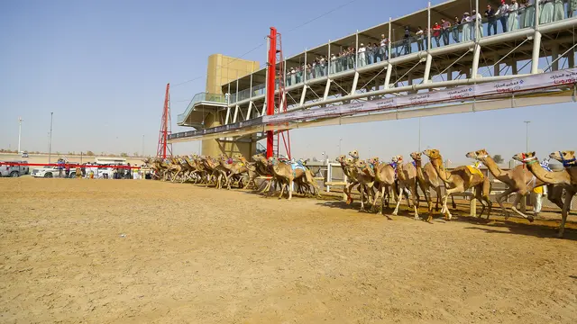 Singgah di Dubai dengan Nuansa Kental Budaya, Mau Coba?