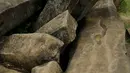 Sebuah batu berlambang Kujang (senjata khas Jawa Barat), terdapat di areal situs Gunung Padang di Kampung Cimanggu, Cianjur, Jawa Barat, (20/9/2014). (Liputan6.com/Helmi Fithriansyah)