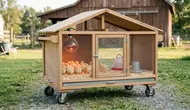 9 Ide Kandang Anak Ayam yang Hangat dan Mudah Dibersihkan, Praktis Lindungi Peliharaan