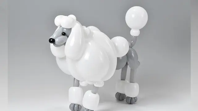 Balloon Art
