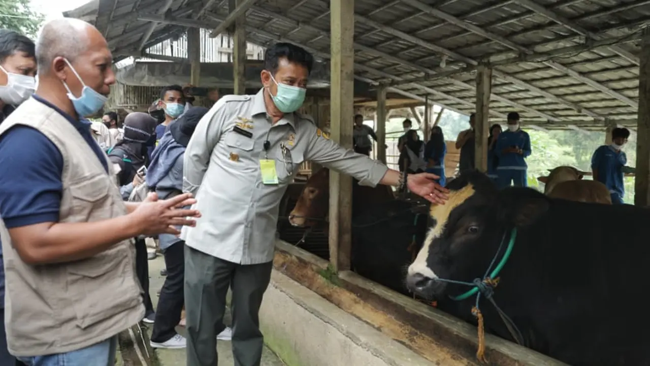 Menteri Pertanian Syahrul Yasin Limpo saat meninjau lokasi Peternakan Kambing, Domba dan Sapi di Yayasan Adzkia, Desa Sukaresmi, Cisaat, Sukabumi - Jawa Barat.