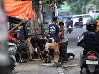 Pedagang hewan kurban memenuhi ruas pedestrian atau trotoar di salah satu jalan di Jakarta, Rabu (4/6/2025). (Liputan6.com/Angga Yuniar)