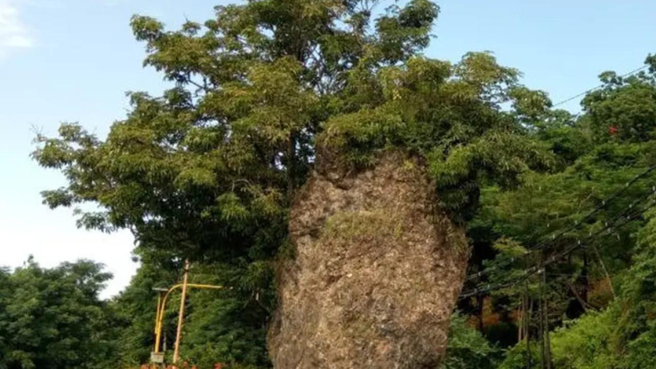 Watu Dodol Banyuwangi