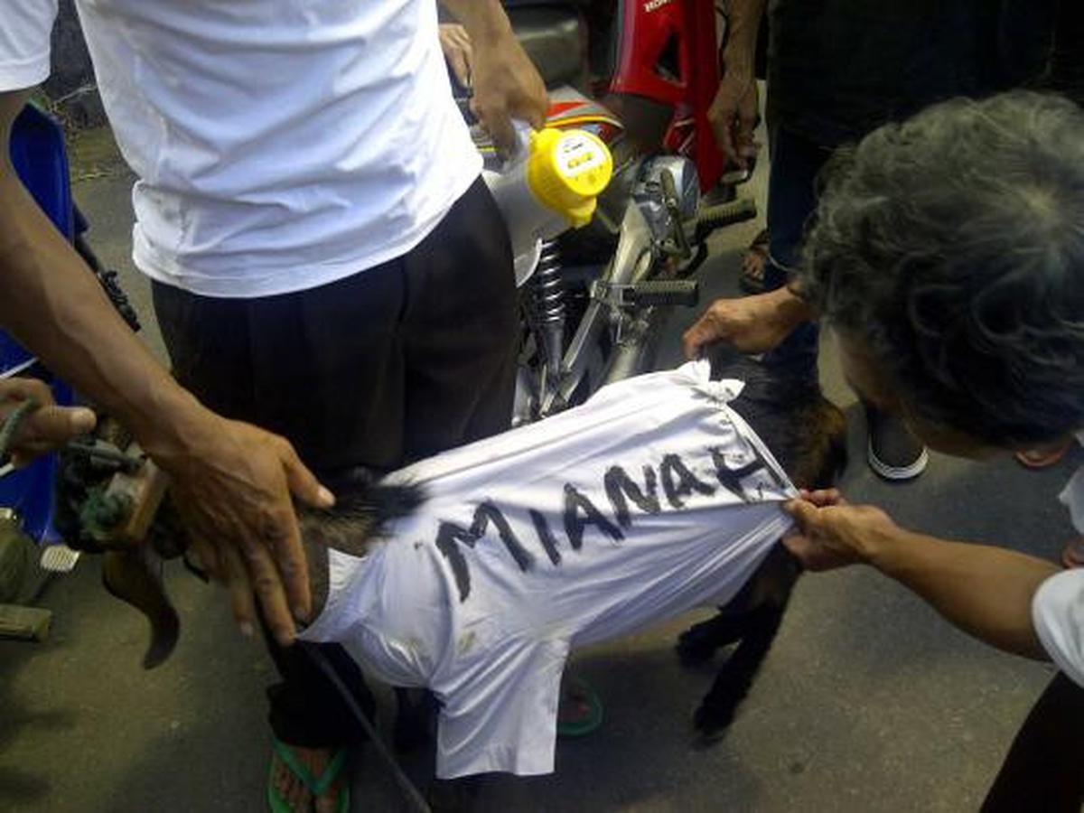 Ratusan warga bawa keranda mayat dan kambing ke PN Mungkid