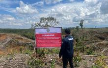 Penyelidikan Kemenhut Tapanuli: 12 Subjek Hukum Diduga Terlibat Kerusakan Lingkungan Penyebab Banjir