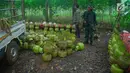 Tempat pengoplosan gas elpiji di hutan Rumpin, Kabupaten Bogor, digerebek anggota TNI, Senin (19/2). Aktivitas pengoplosan tabung gas 3 kg menjadi gas 12 kg itu sudah berjalan kurang lebih sebulan. (Liputan6.com/Achmad Sudarno)
