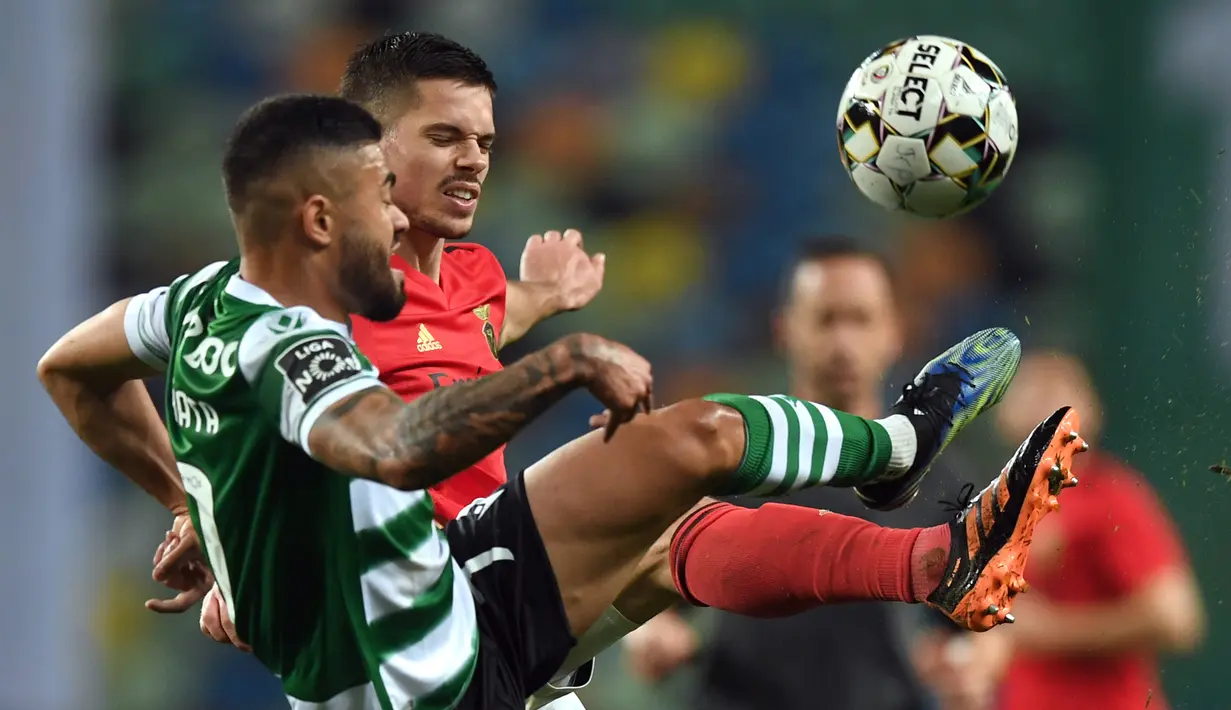 Gelandang Sporting Lisbon, Rafael Camacho (kiri) berebut bola dengan gelandang Benfica, Julian Weigl dalam laga lanjutan Liga Portugal 2020/21 di Jose Avalade Stadium, Lisbon, Senin (1/2/20201). Sporting menang 1-0 atas Benfica. (AFP/Patricia De Melo Moreira)
