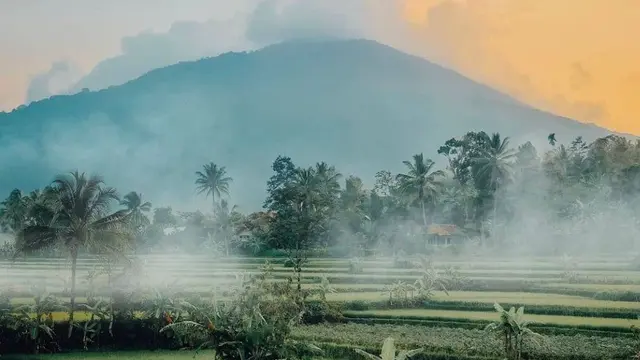 Gunung Pulosari di Banten dengan pemandangan kabut dan sawah