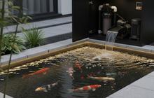8 Model Kolam Ikan Minimalis Lahan 2x3 Meter Mudah Dirawat, Ciptakan Suasana Asri dan Menenangkan