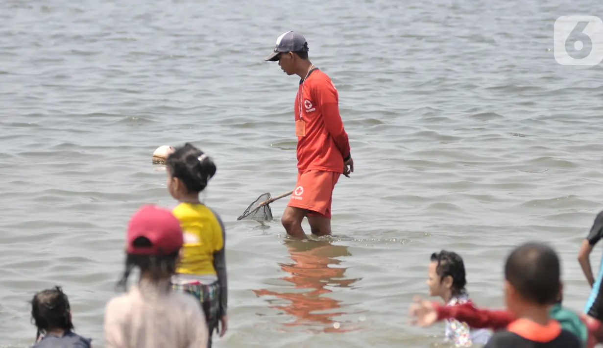 Petugas membawa jaring saat mencari ubur-ubur di Pantai Lagoon, Ancol Taman Impian, Jakarta, Rabu (9/10/2019). Kawanan ubur-ubur yang bermunculan berjenis Spotted Jellyfish, Blubber, dan Sea Netle. (merdeka.com/Iqbal Nugroho)