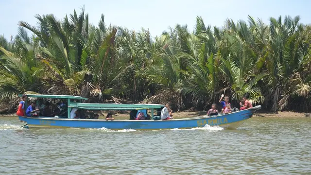 Kawasan Laguna Segara Anakan, Cilacap, Jawa Tengah. (Foto: Liputan6.com/Muhamad Ridlo)