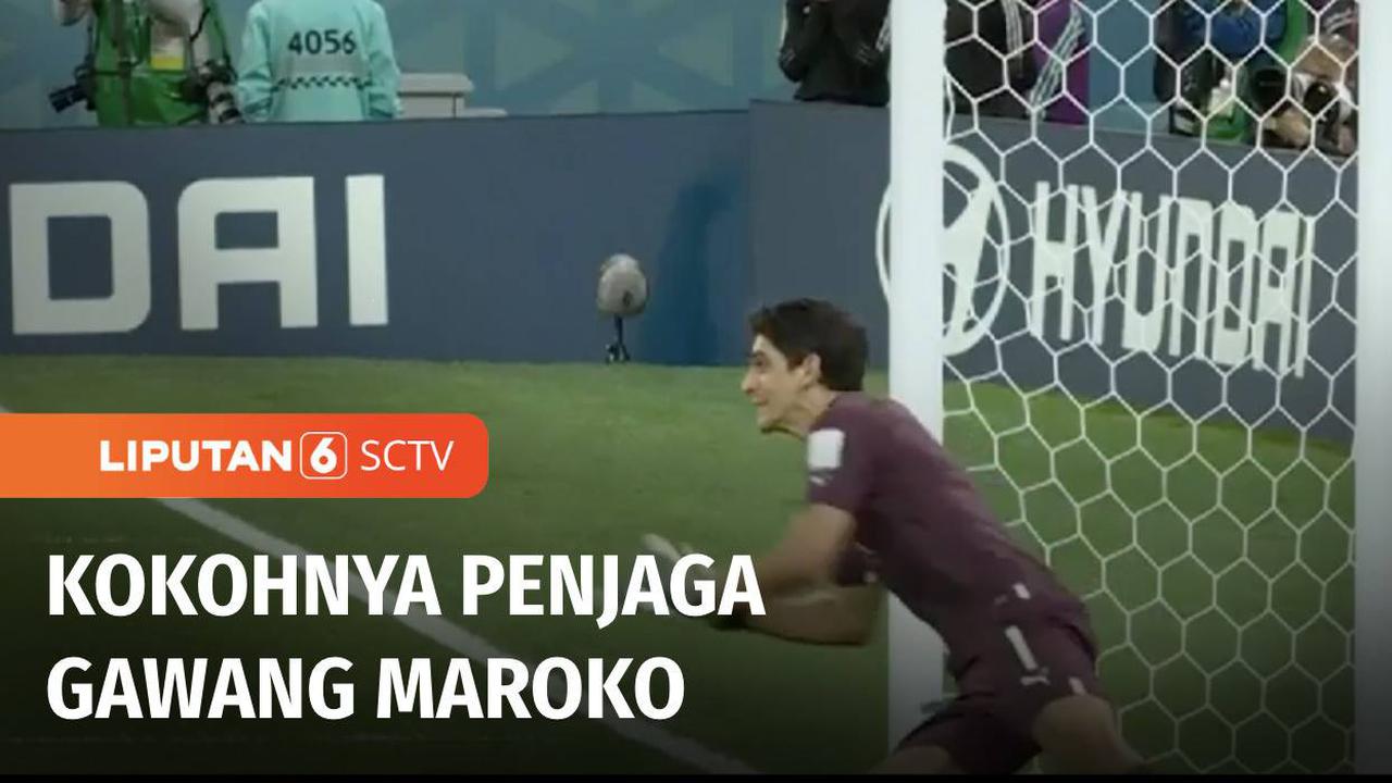 VIDEO: Fakta Unik Maroko hingga Lolos Semifinal Piala Dunia 2022