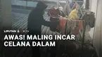 Hati-hati kalau mau menjemur pakaian dalam di luar rumah, karena bisa jadi ada maling yang siap mengincar pakaian dalam Anda. Ada lebih dari 2 lusin celana dalam perempuan di Tuban, Jawa Timur, yang raib. Kasus ini terungkap, setelah pemilik rumah me...