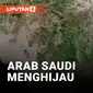 Foto Satelit Arab Saudi, Mekkah, Jeddah dan Madinah Menghijau