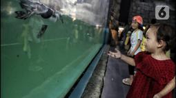 Wisatawan saat melihat bayi penguin di Ocean Dream Samudra, Ancol, Jakarta Utara, Senin (13/3/2023).  Dalam upaya program pengembangbiakan tersebut telah melakukan modifikasi habitat untuk dapat memberikan kondisi lingkungan sesuai dengan habitat alaminya. (merdeka.com/Iqbal S Nugroho)