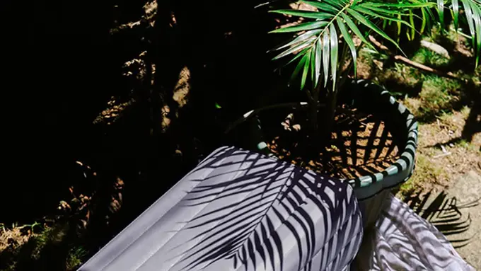 Nutshell Cooler, Pendingin Ramah Lingkungan dari Sabut Kelapa yang Menantang Dominasi Plastik