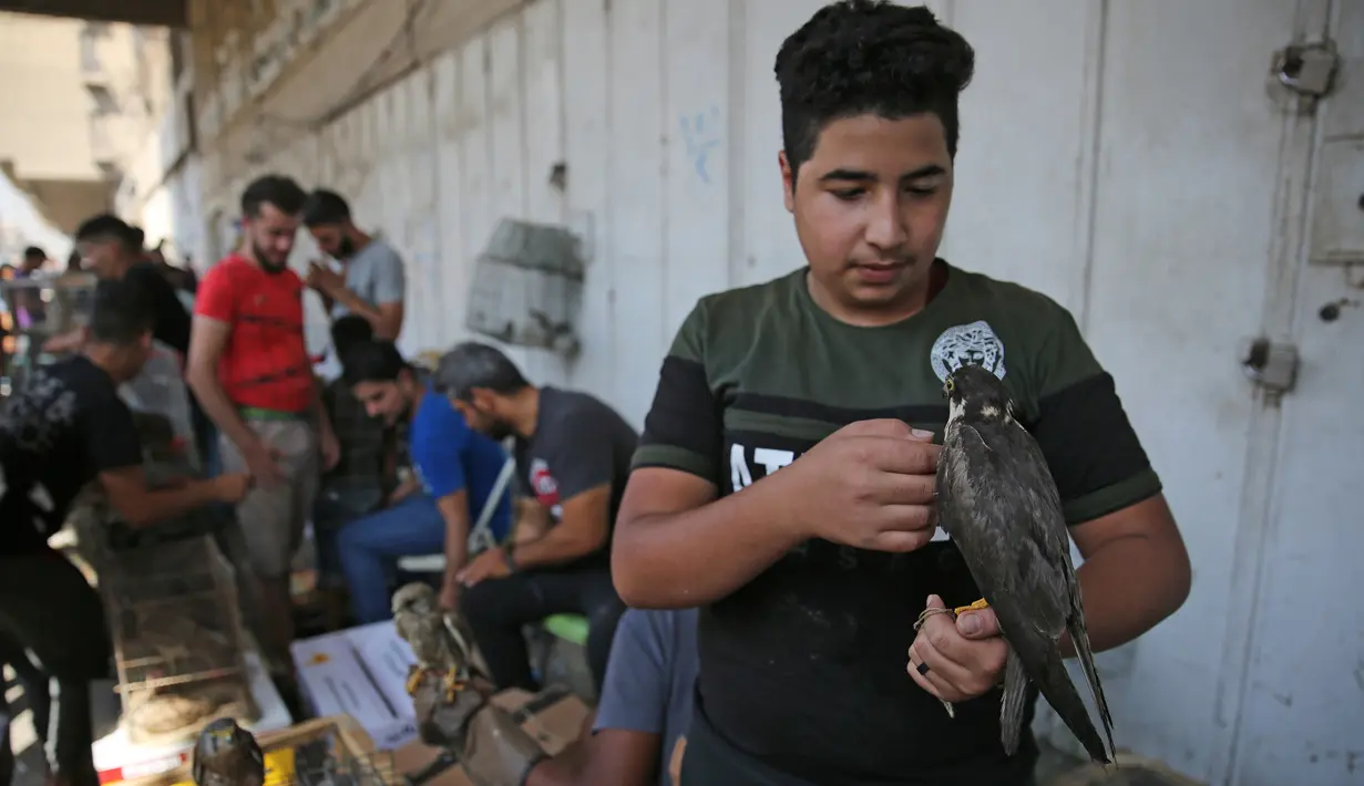 Seorang pria Irak memegang elang di pasar hewan peliharaan al-Ghazal di ibukota Irak, Baghdad (11/10/2019). Pasar hewan peliharaan yang berada di kota Baghdad ini telah ada sejak tahun 1950-an. (AFP Photo/Ahmad Al-Rubaye)