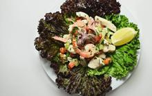 Vegetarian tapi Makan Ikan? Ini Penjelasannya