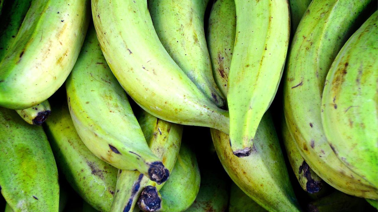 Studi: Makan Pisang yang Masih Hijau Dapat Membantu Mengurangi Risiko Kanker
