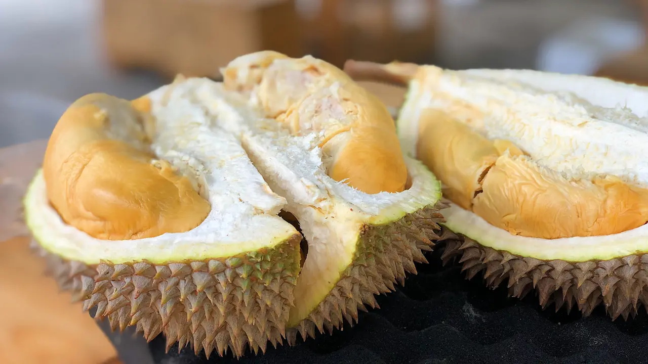 Ilustrasi Durian