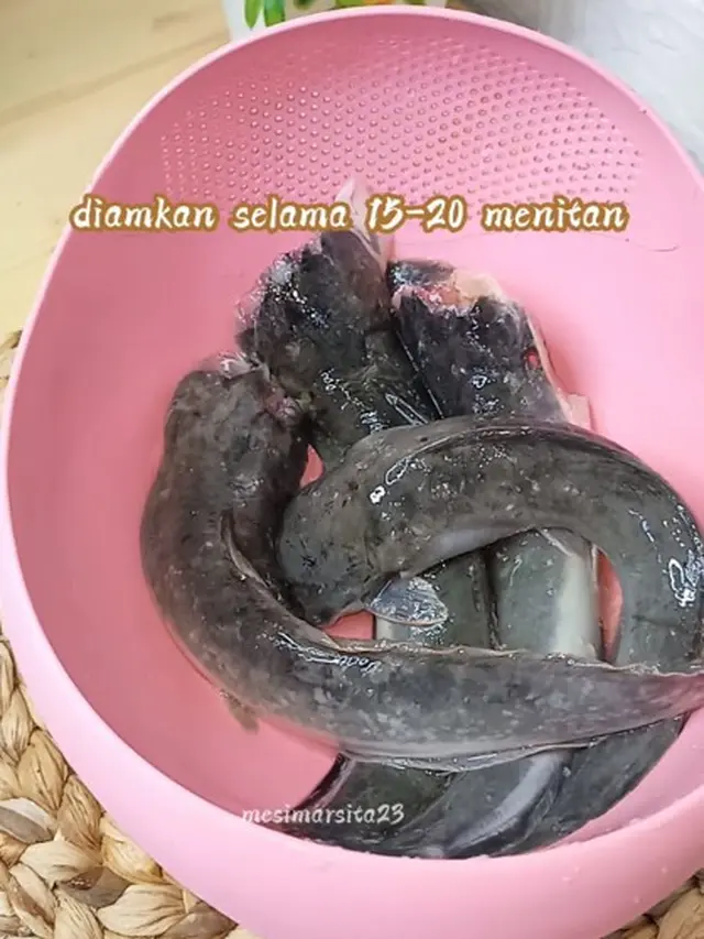 Tanpa Direndam Jeruk Nipis, Ini Cara Bersihkan Lendir Lele Pakai 2 Bahan Dapur