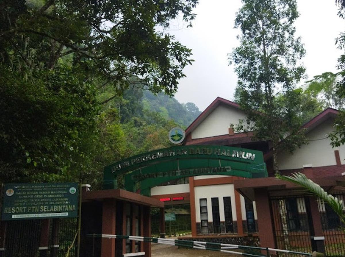 Wisata di Gunung Halimun