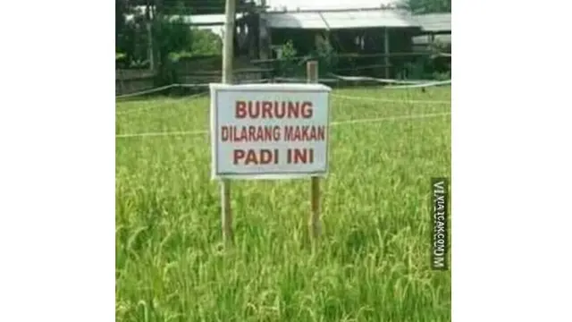 6 Larangan Tidak Boleh Makan Ini Bikin Geregetan