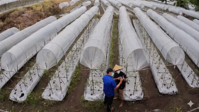 BRI Salurkan KUR Rp65,95 Triliun, Dukung Ketahanan Pangan dan Jangkau 558 Ribu Petani serta 23 Ribu Nelayan per April 2026