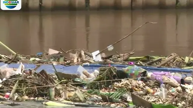 Selain sampah rumah tangga, sampah yang menumpuk di Kanal Banjir Barat adalah tumpukan bambu dan kayu.
