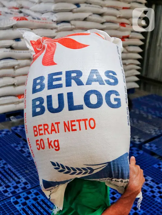 Seorang buruh memanggul beras bulog saat aktivitas bongkar muat, di gudang PT Food Station Tjipinang Jaya, Jakarta Timur, Jumat (3/2/2023). Guna memenuhi kebutuhan beras di Pasar Induk Beras Cipinang, Bulog juga akan menambah stok beras yang saat ini ada di Food Station dari 13 ribu ton menjadi 30 ribu ton. (Liputan6.com/Angga Yuniar)