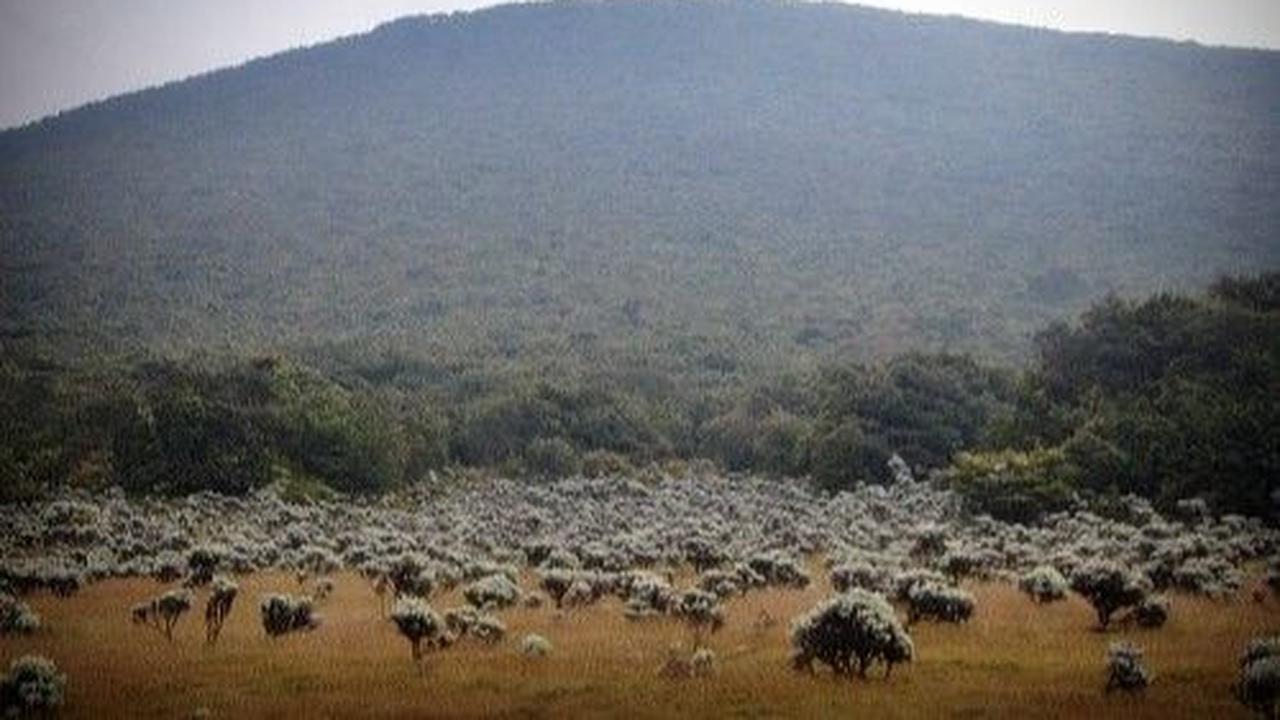 1. Alun-Alun Surya Kencana