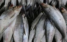 FOTO: Inilah Makna Ikan Bandeng yang Jadi Sajian Wajib di Perayaan Imlek